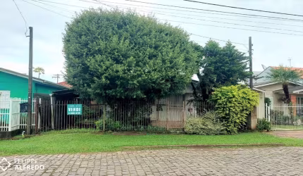 Terreno à venda União Dois Irmãos/RS