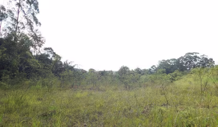 Terreno à venda, 23555 m² por R$ 17.000.000,00 - Cooperativa - São Bernardo do Campo/SP