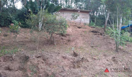 Terreno à venda, 1000 m² por R$ 200.000,00 - Cidade Recreio da Borda do Campo - Santo André/SP