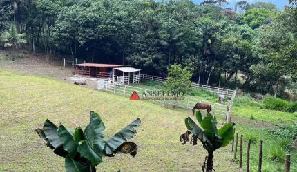 Chácara com 1 dormitório à venda, 14000 m² por R$ 800.000,00 - Parque Botujuru - São Bernardo do Campo/SP