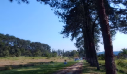 Terreno, 31500 m² - venda por R$ 20.000.000,00 ou aluguel por R$ 45.000,00/mês - Finco - São Bernardo do Campo/SP