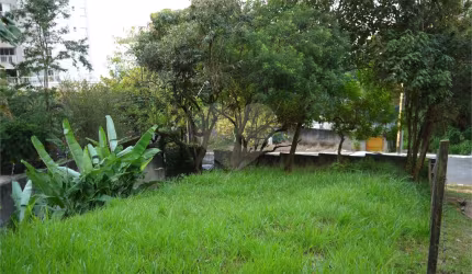 Terreno à venda em Jardim Petrópolis - SP