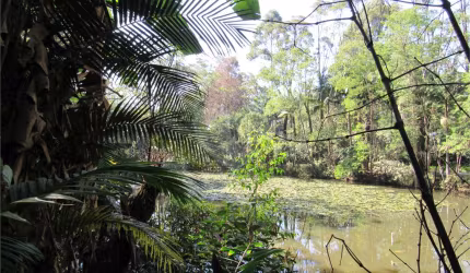 Terreno à venda em Jardim Dos Estados - SP