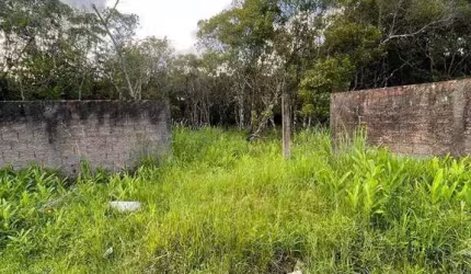 Terreno à venda, 490 m² por R$ 190.000,00 - Retiro das Caravelas  - Cananéia/SP
