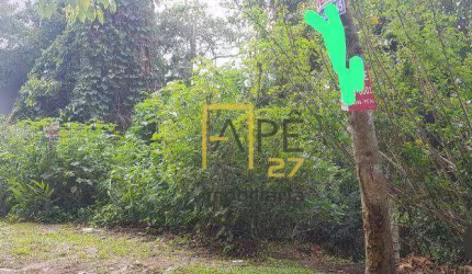 Terreno à venda, 2000 m² por R$ 370.000,00 - Caraguatá - Mairiporã/SP