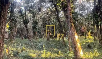 Terreno à venda, 1300 m² por R$ 375.000,00 - Reserva da Mata  - Cananéia/SP