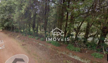 Terreno à venda de 2000 m² em Água Preta - Jarinu/SP
