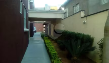 Apartamento com 2 quartos à venda em Vila Paranaguá - SP