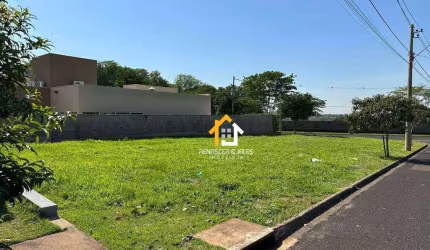 Terreno à venda, 623 m² por R$ 500.000,00 - Centro - Bady Bassitt/SP