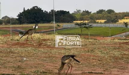 Terreno á venda Serena - Campinas