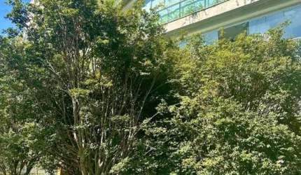 Cerqueira Cesar Apartamento A Venda 3 Suites 196m2 2 Vagas Novo Pronto P Morar
