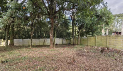 Terreno à venda, 645 m² por R$ 900.000,00 - Mossunguê - Curitiba/PR