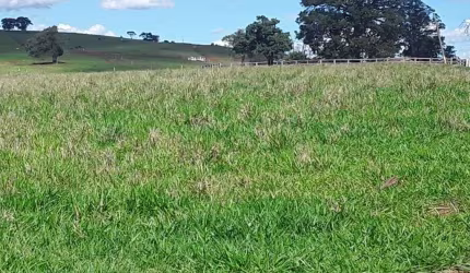 Fazenda à venda, 1016400 m² por R$ 5.650.000,00 - Chácara Paraíso - Jacarezinho/PR