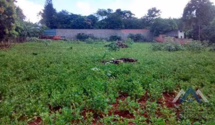 Terreno à venda, 3000 m² por R$ 450.000,00 - Horizontal Marajoara - Ibiporã/PR
