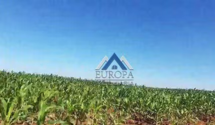 Fazenda à venda, 1495560 m² por R$ 26.000.000,00 - Rural - Bela Vista do Paraíso/PR
