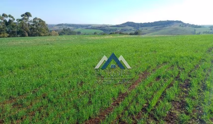Sítio à venda, 363000 m² por R$ 1.800.000,00 - Residencial Capeli - Abatia/PR