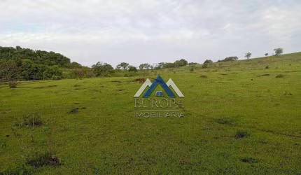 Sítio à venda, 242000 m² por R$ 1.500.000,00 - Rural - Leópolis/PR
