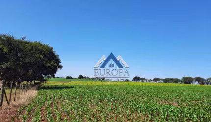 Área à venda, 27000 m² por R$ 3.000.000,00 -  Distrito Espírito Santo - Londrina/PR