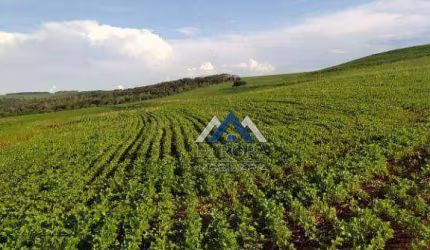 Fazenda à venda, 1258400 m² por R$ 20.500.000,00 - Rural - Alvorada do Sul/PR