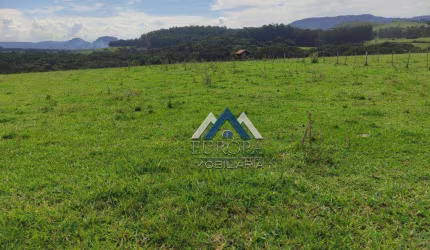 Sítio à venda, 556600 m² por R$ 3.450.000,00 - Lambari - Sapopema/PR