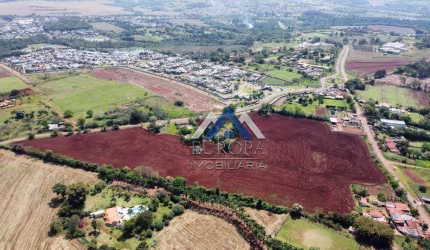 Área à venda, 8000 m² por R$ 4.000.000,00 - Gleba Palhano - Londrina/PR