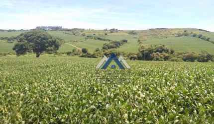 Fazenda à venda, 1694000 m² por R$ 22.000.000,00 - Rural - Sertanópolis/PR
