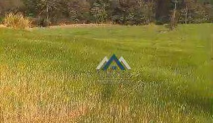 Sítio com 3 dormitórios à venda, 141473 m² por R$ 700.000,00 - Zona Rural - Tamarana/PR
