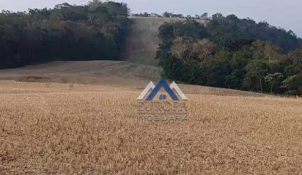 Fazenda com 5 dormitórios à venda, 5687000 m² por R$ 55.000.000,00 - Zona Rural - Congonhinhas/PR