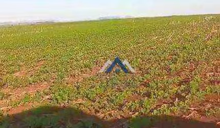 Fazenda à venda, 1210000 m² por R$ 11.500.000,00 - Rural - Bandeirantes/PR