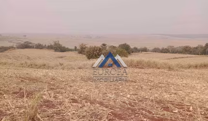 Sítio à venda, 193600 m² por R$ 2.800.000,00 - Rural - Bela Vista do Paraíso/PR