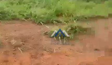 Fazenda com 5 dormitórios à venda, 25000000 m² por R$ 60.000.000,00 - Zona Rural - Rondolândia/MT