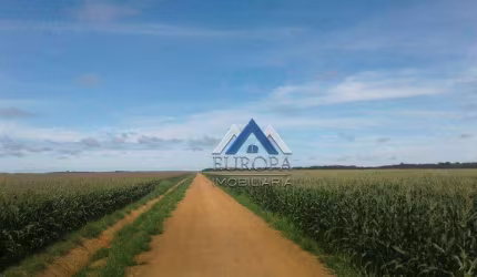 Fazenda com 6 dormitórios à venda, 159360000 m² por R$ 800.000.000,00 - Zona Rural - Nova Ubiratã/MT
