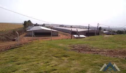 Sítio à venda, 170000 m² por R$ 6.100.000,00 - Rural - Alvorada do Sul/PR
