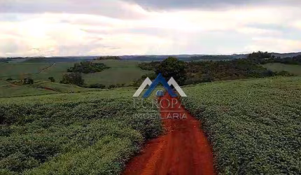 Sítio à venda, 90750 m² por R$ 1.200.000,00 - Rural - Assaí/PR