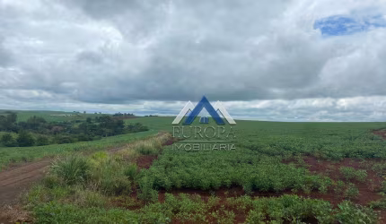 Fazenda à venda, 968000 m² por R$ 13.000.000,00 - Centro - Nova Fatima/PR