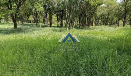 Sítio à venda, 302500 m² por R$ 1.850.000,00 - Centro - Assaí/PR