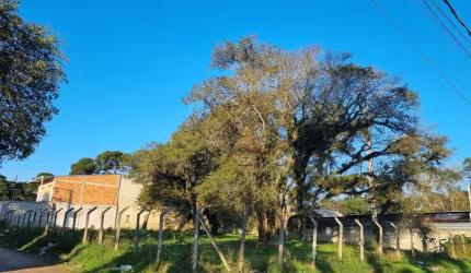Terreno à venda na Henrique Toni, Jardim Guarituba, Piraquara por R$ 498.000