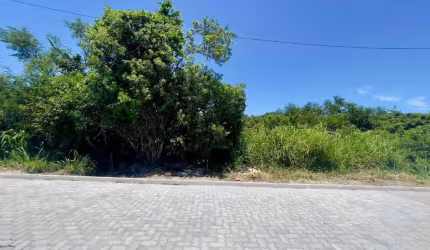 Terreno à venda, 450 m² por R$ 219.000,00 - Caravelas - Armação dos Búzios/RJ
