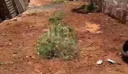 Terreno em Indaiatuba - Jardim Morada do Sol