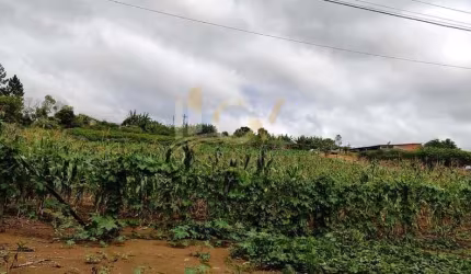 Chácara à venda em Pilar do Sul