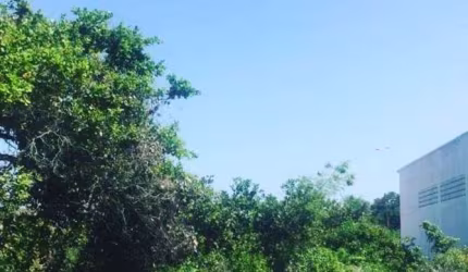 02 LOTES de Terreno prox ao Bosque de Intermares