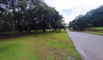 Terreno à venda na Rua Intendente Antônio Damasco, 4687, Ratones, Florianópolis, 2464 m2 por R$ 880.000