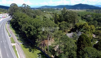 Terreno à venda na Rodovia Armando Calil Bulos, 177, Ingleses do Rio Vermelho, Florianópolis, 33044 m2 por R$ 21.300.000