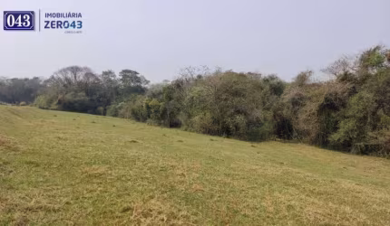 Chácara Residencial à venda, Gleba Ribeirão Cafezal, Londrina -