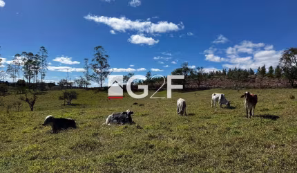 Fazenda à venda na Estrada Benedito Fernandes Leme, S/N, Alegre, Pilar do Sul por R$ 1.500.000