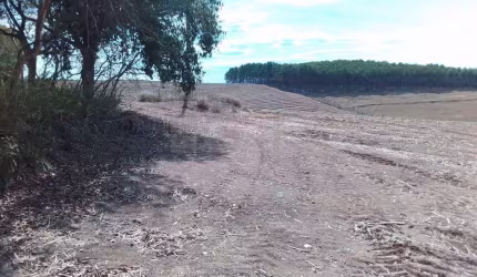 Chácara / sítio com 1 quarto à venda na Estrada municipal, S/N, Santa Luzia, Charqueada por R$ 9.200.000
