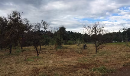 Terreno comercial à venda na Avenida Constante Pavan, 4, Betel, Paulínia por R$ 12.999.999