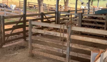 Fazenda Araguari
