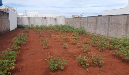 Terreno à venda no bairro Jardim Botanico - Araguari/MG