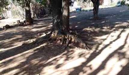 Área à venda no bairro Bosque - Araguari/MG